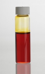 Manuka (Leptospermum scoparium) Essential Oil in clear glass vial.