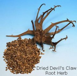 devils-claw-dried-herb